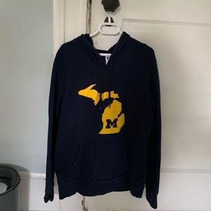 Champion Michigan Hoodie